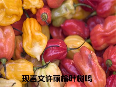 许丽榆叶树鸣（许丽榆叶树鸣）全文小说-许丽榆叶树鸣小说最新章节免费阅读