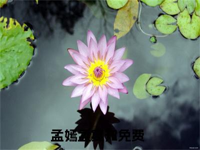 孟嫣孟宴知（孟嫣孟宴知）抖音热推小说全集无删减，孟嫣孟宴知完整章节阅读