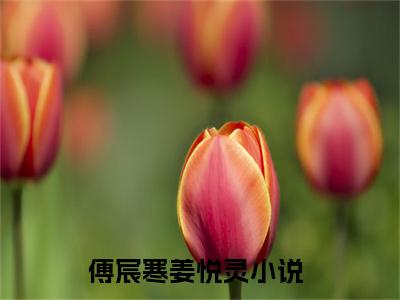 傅宸寒姜悦灵小说最新章节免费阅读-傅宸寒姜悦灵全文赏析完整版