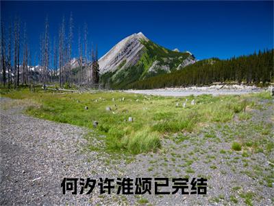 何汐许淮颂（何汐许淮颂）全文免费阅读_何汐许淮颂最新章节列表言情小说在线阅读