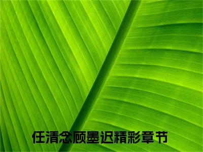 任清念顾墨迟小说全文（任清念顾墨迟）在线阅读-任清念顾墨迟全文免费阅读无弹窗大结局