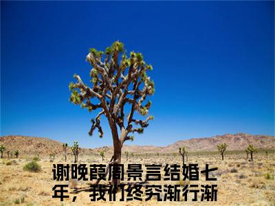 谢晚葭周景言（结婚七年，我们终究渐行渐远）完整版全文在线赏析-谢晚葭周景言精彩美文摘抄