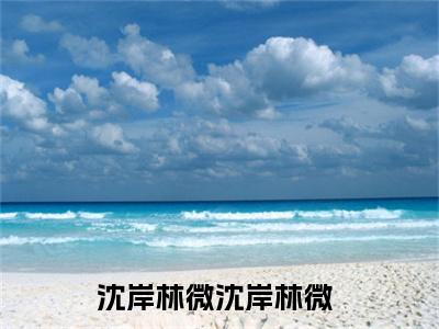 沈岸林微（沈岸林微）全文免费阅读_沈岸林微（沈岸林微）最新章节列表笔趣阁