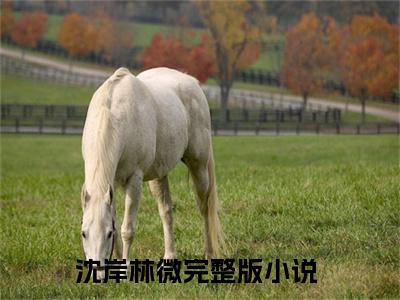 沈岸林微（腰宠小说）小说全文免费阅读_腰宠小说下载_最新章节列表笔趣阁（沈岸林微）