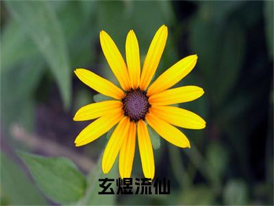 玄煜流仙最新章节（玄煜流仙）全文免费阅读无弹窗大结局_玄煜流仙玄煜流仙全文免费阅读