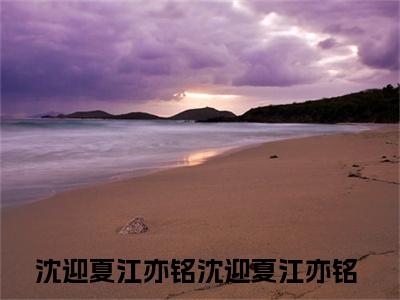 沈迎夏江亦铭（沈迎夏江亦铭）全文免费大结局，沈迎夏江亦铭结局在线阅读