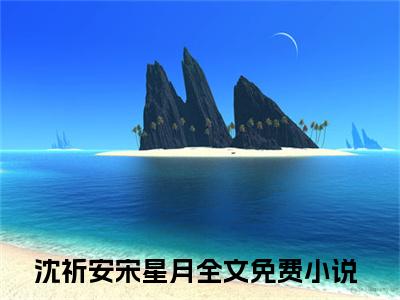 沈祈安宋星月（沈祈安宋星月）全文免费读无弹窗大结局_沈祈安宋星月免费阅读全文大结局最新章节列表