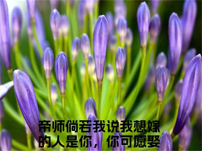 帝师倘若我说我想嫁的人是你，你可愿娶（江岚雪谢璟玉）全文免费阅读无弹窗大结局_江岚雪谢璟玉最新章节列表_笔趣阁