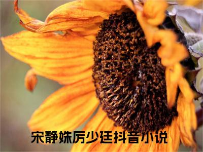 宋静姝厉少廷全文免费无弹窗大结局_宋静姝厉少廷免费宋静姝厉少廷最新章节列表_笔趣阁