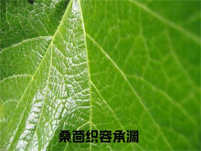 桑茴织容承渊小说桑茴织容承渊完整版全文在线赏析-小说桑茴织容承渊全文大结局已完结