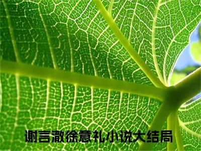 （免费）+（番外）主角是谢言澈徐意礼的小说-谢言澈徐意礼全文无弹窗免费阅读