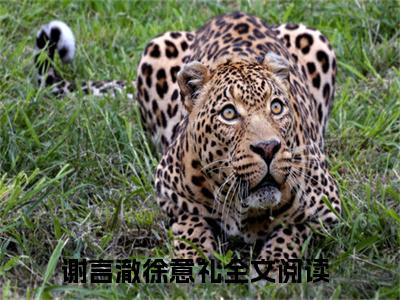 谢言澈徐意礼（谢言澈徐意礼）全文免费阅读无弹窗大结局_（谢言澈徐意礼）免费阅读无弹窗最新章节列表_笔趣阁