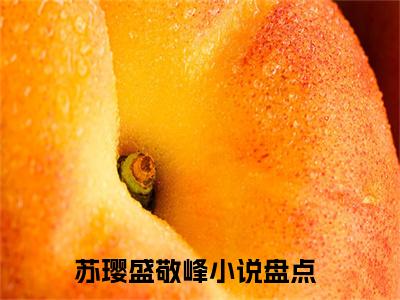 偏宠八零小甜妻苏璎盛敬峰在线小说-苏璎盛敬峰全文无删减版阅读