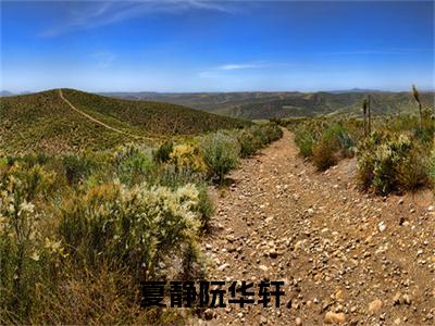 夏静阮华轩（夏静阮华轩）全文小说-夏静阮华轩小说最新章节免费阅读