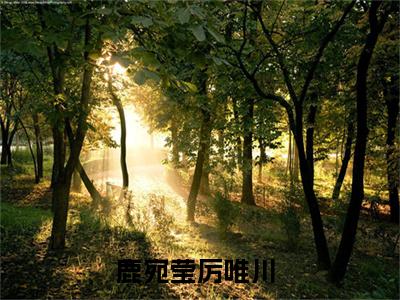 新上热文鹿宛莹厉唯川在线阅读-鹿宛莹厉唯川叫鹿宛莹厉唯川的小说全文完整版免费阅读