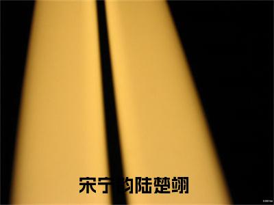 新书热荐宋宁韵陆楚翊全集小说完整版大结局-小说宋宁韵陆楚翊全文完整版免费阅读