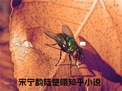 宋宁韵陆楚翊（宋宁韵陆楚翊）全文免费阅读无弹窗大结局_宋宁韵陆楚翊（宋宁韵陆楚翊最新章节在线阅读）_笔趣阁