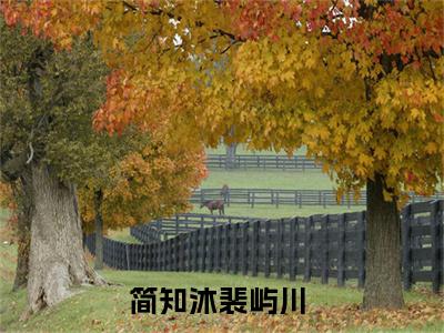 简知沐裴屿川全文免费阅读-小说推荐简知沐裴屿川精彩章节在线阅读