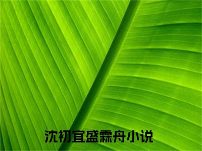 沈初宜盛霖舟全文免费阅读无弹窗大结局_（沈初宜盛霖舟阅读无弹窗）沈初宜盛霖舟最新章节列表_笔趣阁