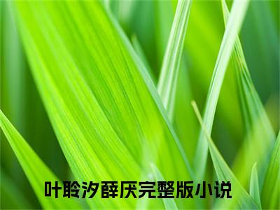 叶聆汐薛厌（叶聆汐薛厌）小说全文免费阅读无弹窗大结局_叶聆汐薛厌（叶聆汐薛厌无弹窗）最新章节列表笔趣阁（叶聆汐薛厌）