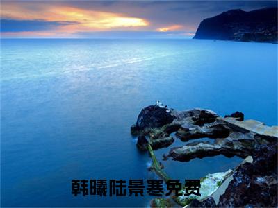 韩曦陆景寒小说（韩曦陆景寒）全文免费阅读无弹窗大结局_韩曦陆景寒小说最新章节列表_笔趣阁（韩曦陆景寒）