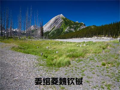 姜绾菱魏钦铖小说（姜绾菱魏钦铖）全文免费阅读_姜绾菱魏钦铖小说最新章节列表笔趣阁小说