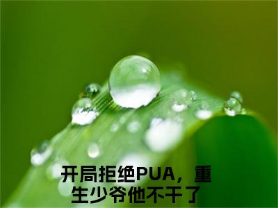 开局拒绝PUA，重生少爷他不干了楚安尘颜歌精彩章节-开局拒绝PUA，重生少爷他不干了楚安尘颜歌完整版阅读