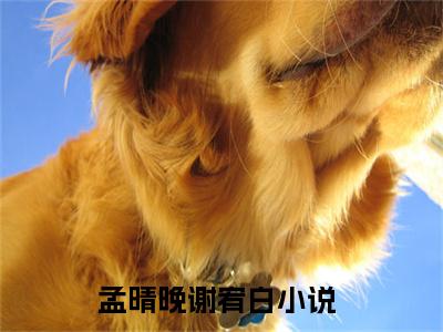 孟晴晚谢宥白(孟晴晚谢宥白小说)全文免费阅读无弹窗大结局_孟晴晚谢宥白小说免费阅读最新章节列表_笔趣阁（孟晴晚谢宥白小说）