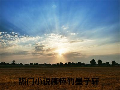 (柳怀竹墨子轩)最新章节在线阅读-小说无弹窗免费阅读