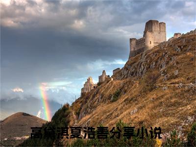 高黛淇夏浩善免费小说-高黛淇夏浩善完结版在线阅读