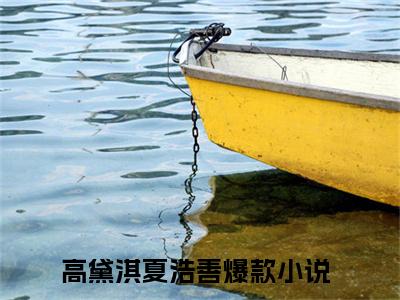 高黛淇夏浩善(高黛淇夏浩善)小说免费阅读无弹窗大结局_(高黛淇夏浩善)高黛淇夏浩善最新章节列表笔趣阁（高黛淇夏浩善）