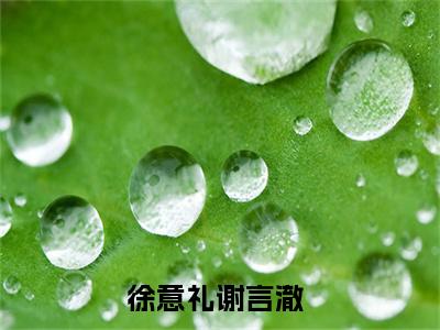 徐意礼谢言澈小说(徐意礼谢言澈)全文免费阅读_徐意礼谢言澈（徐意礼谢言澈）最新章节完整版免费阅读（徐意礼谢言澈）