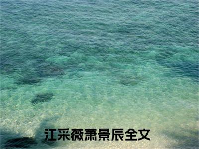 江采薇萧景辰小说全文免费阅读（江采薇萧景辰）全文免费阅读无弹窗大结局_(江采薇萧景辰)江采薇萧景辰小说免费阅读无弹窗最新章节列表_笔趣阁（江采薇萧景辰）