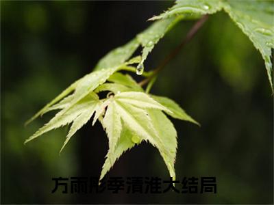 方雨彤季清淮（方雨彤季清淮）完整版小说阅读_方雨彤季清淮全文免费阅读笔趣阁（方雨彤季清淮）