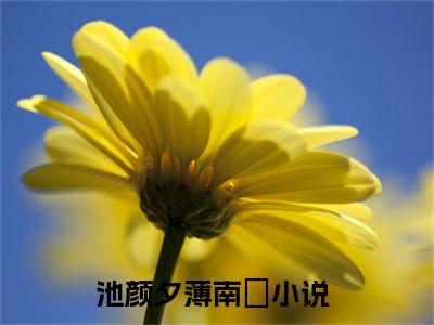 池颜夕薄南璟（池颜夕薄南璟小说）小说全文免费阅读无弹窗大结局_（池颜夕薄南璟）池颜夕薄南璟最新章节列表_笔趣阁