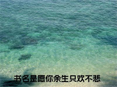 愿你余生只欢不悲（布桐陆斯年）全文免费阅读无弹窗大结局_愿你余生只欢不悲小说精彩免费试读