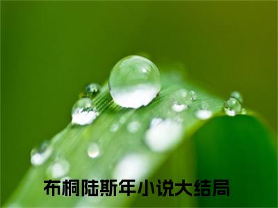 愿你余生只欢不悲小说在线阅读布桐陆斯年无广告小说免费在线阅读（免费）+（结局）