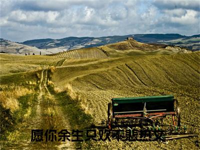 愿你余生只欢不悲小说最新章节阅读愿你余生只欢不悲布桐陆斯年全文免费阅读最新章节大结局