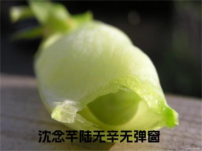 沈念芊陆无辛(沈念芊陆无辛)全文免费阅读无弹窗大结局_沈念芊陆无辛章节列表