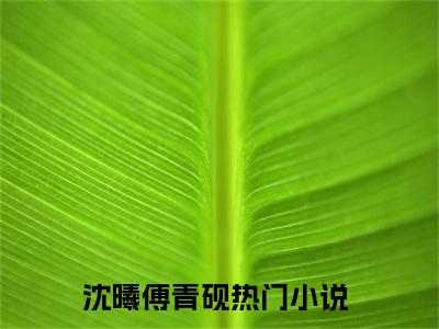 沈曦傅青砚现言热文沈曦傅青砚在线阅读-（沈曦傅青砚）小说分享大结局沈曦傅青砚