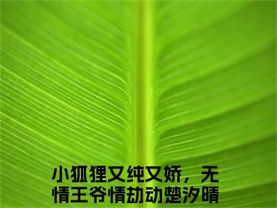 小狐狸又纯又娇，无情王爷情劫动楚汐晴阅读无弹窗大结局_小狐狸又纯又娇，无情王爷情劫动楚汐晴穿越小说免费阅读_笔趣阁