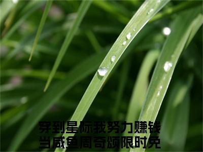 穿到星际我努力赚钱当咸鱼周奇颂大结局全文免费阅读最新章节_穿到星际我努力赚钱当咸鱼周奇颂大结局