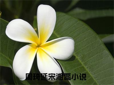 周琦延宋湘蕊小说大结局免费阅读-（周琦延宋湘蕊）抖音新上热文分享周琦延宋湘蕊