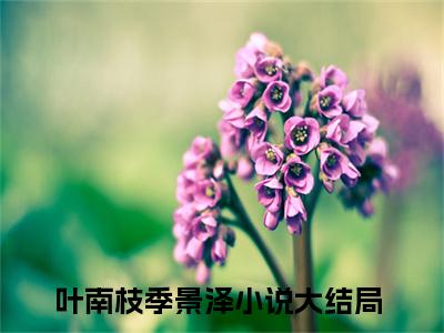 叶南枝季景泽的小说（叶南枝季景泽）全文免费阅读