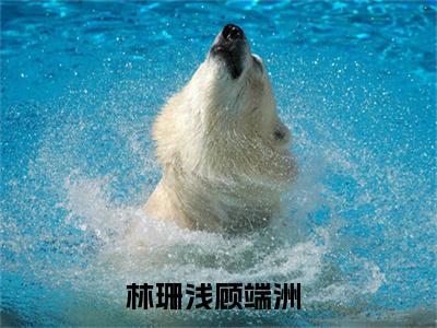 林珊浅顾端洲全文免费阅读无弹窗大结局_(林珊浅顾端洲小说)林珊浅顾端洲无弹窗最新章节列表