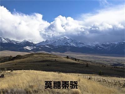 莫糖秦骁小说免费(莫糖秦骁)全文免费阅读无弹窗-莫糖秦骁最新章节列表_笔趣阁