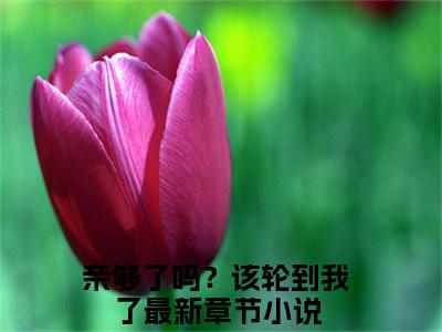 姜书柠温京宴全文免费阅读无弹窗-（亲够了吗？该轮到我了）姜书柠温京宴最新章节列表在线阅读