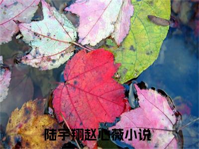 陆宇翔赵心薇小说最新章节（陆宇翔赵心薇）全文免费阅读无弹窗大结局_陆宇翔赵心薇免费阅读（陆宇翔赵心薇小说）