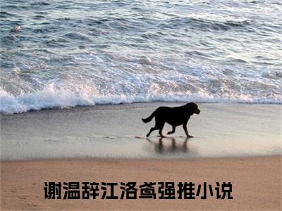 谢温辞江洛鸢抖音新上热文分享谢温辞江洛鸢-小说全文阅读