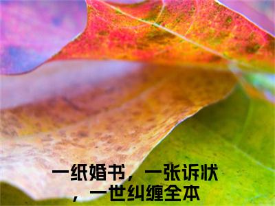 小说（宋穆宁江景沉）一纸婚书，一张诉状，一世纠缠全文阅读-宋穆宁江景沉（一纸婚书，一张诉状，一世纠缠）老书虫书荒推荐热点小说